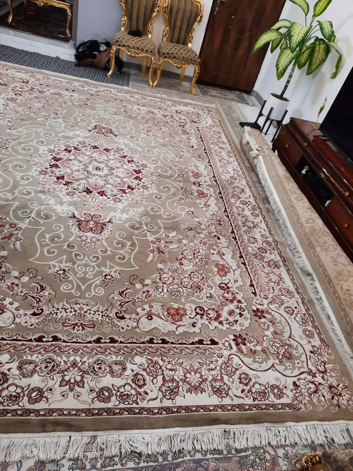 دوعدد فرش ۱۲ متری گردویی|فرش|مشهد, نظام دوست|دیوار