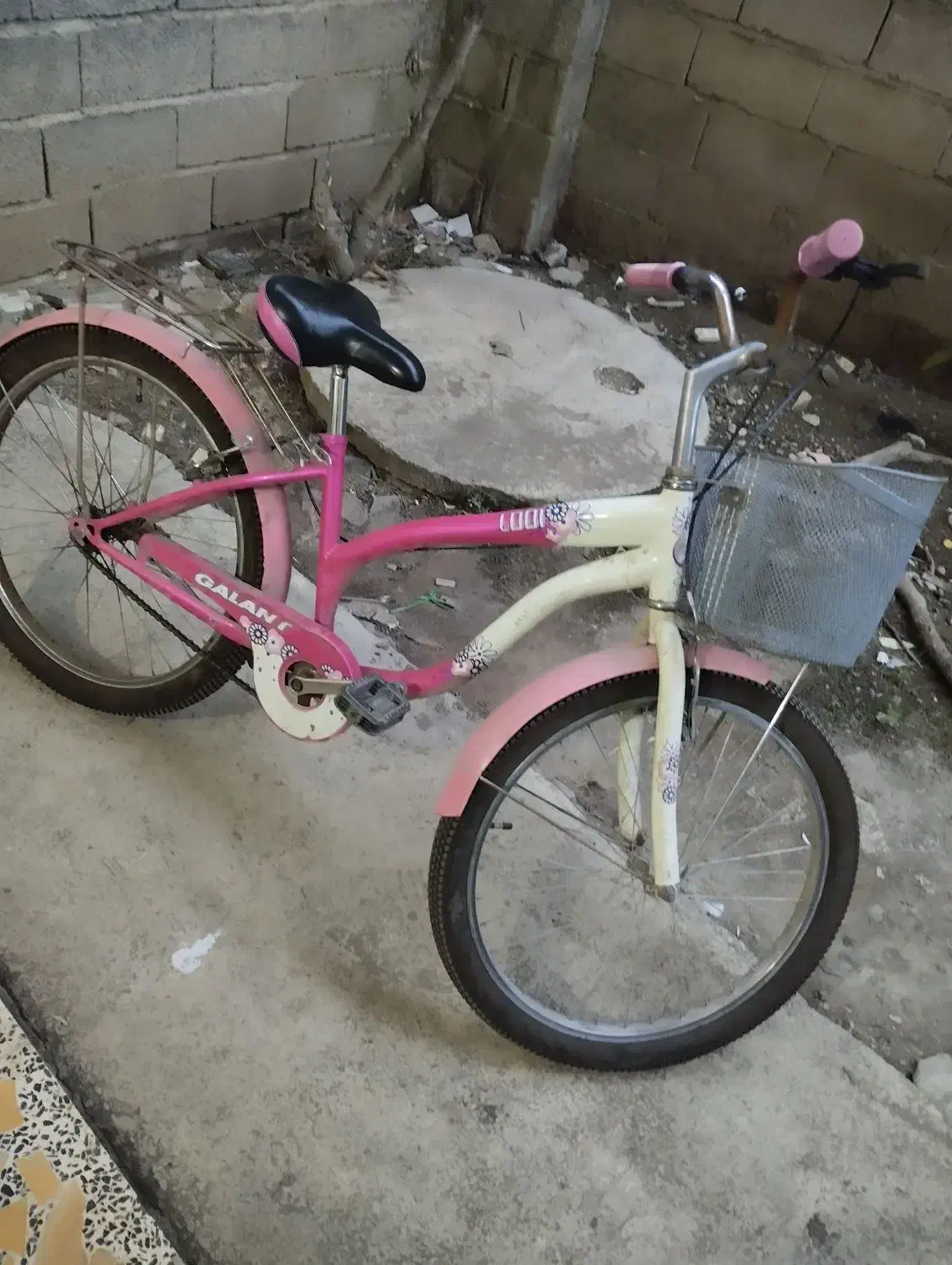 دوچرخه دخترانه|دوچرخه، اسکیت، اسکوتر|تالش, هشتپر|دیوار