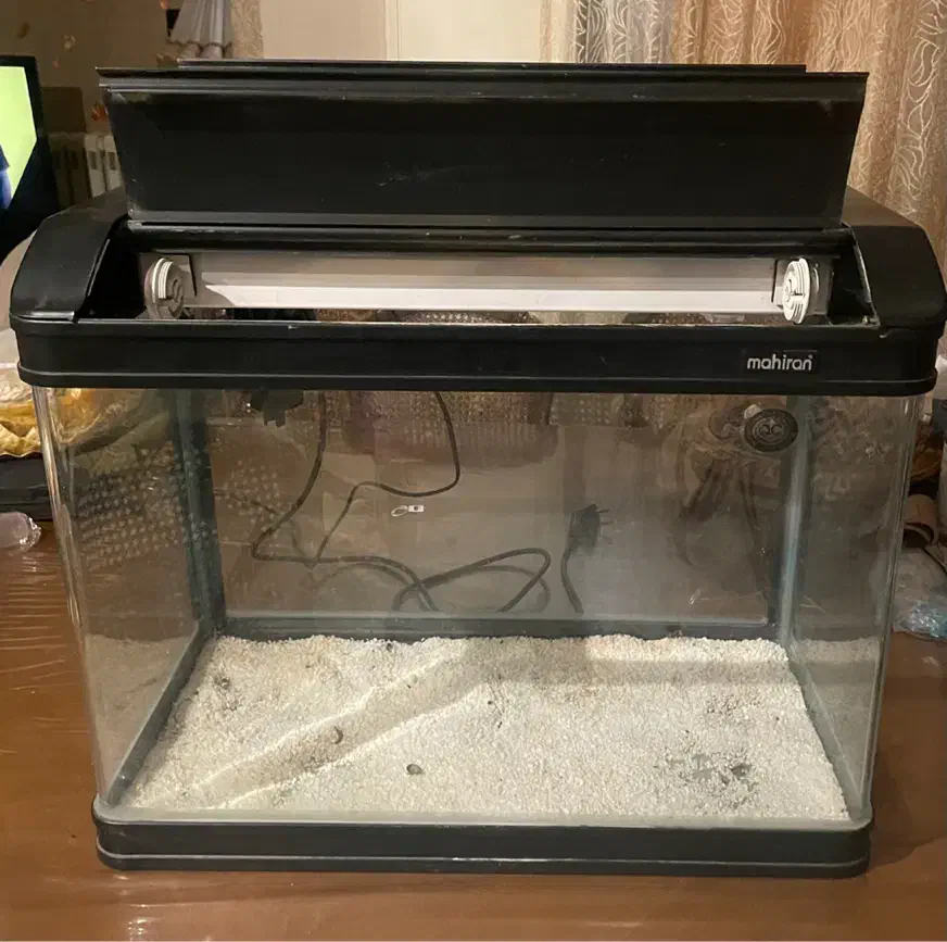 آکواریوم|ماهی|تهران, سوهانک|دیوار