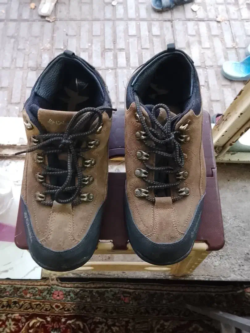 کفش کوهنوردی|کیف، کفش، کمربند|کرمان, |دیوار