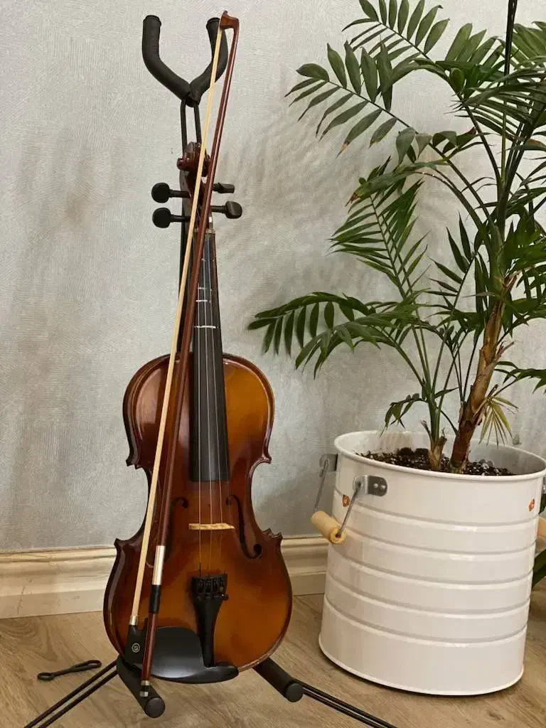 ویولن ماویز mavis سایز ۴/۴|ویولن|رشت, شهرک پردیسان|دیوار