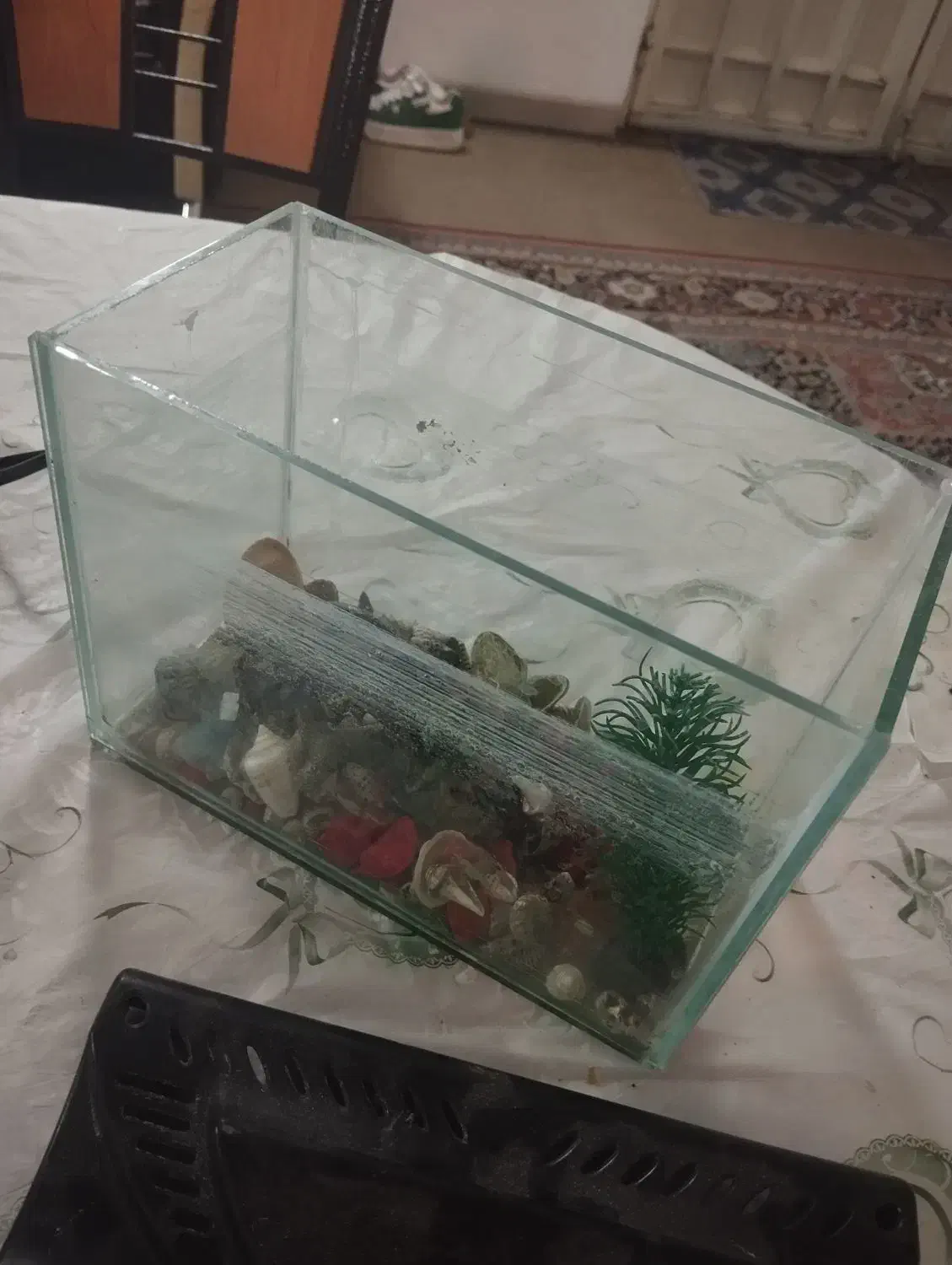 اکواریوم|ماهی|شیراز, شهرک پرواز|دیوار