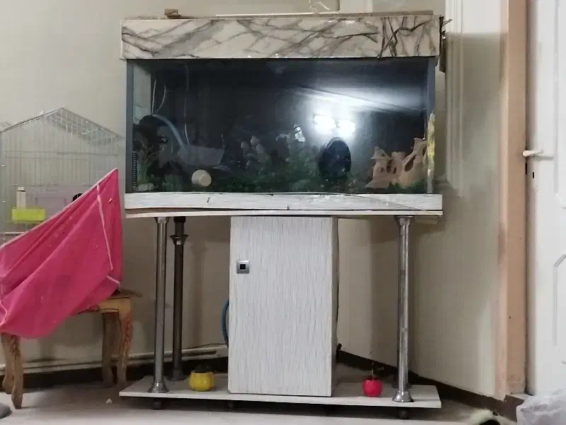 آکواریوم کاملا سالم|ماهی|اصفهان, مفتح|دیوار