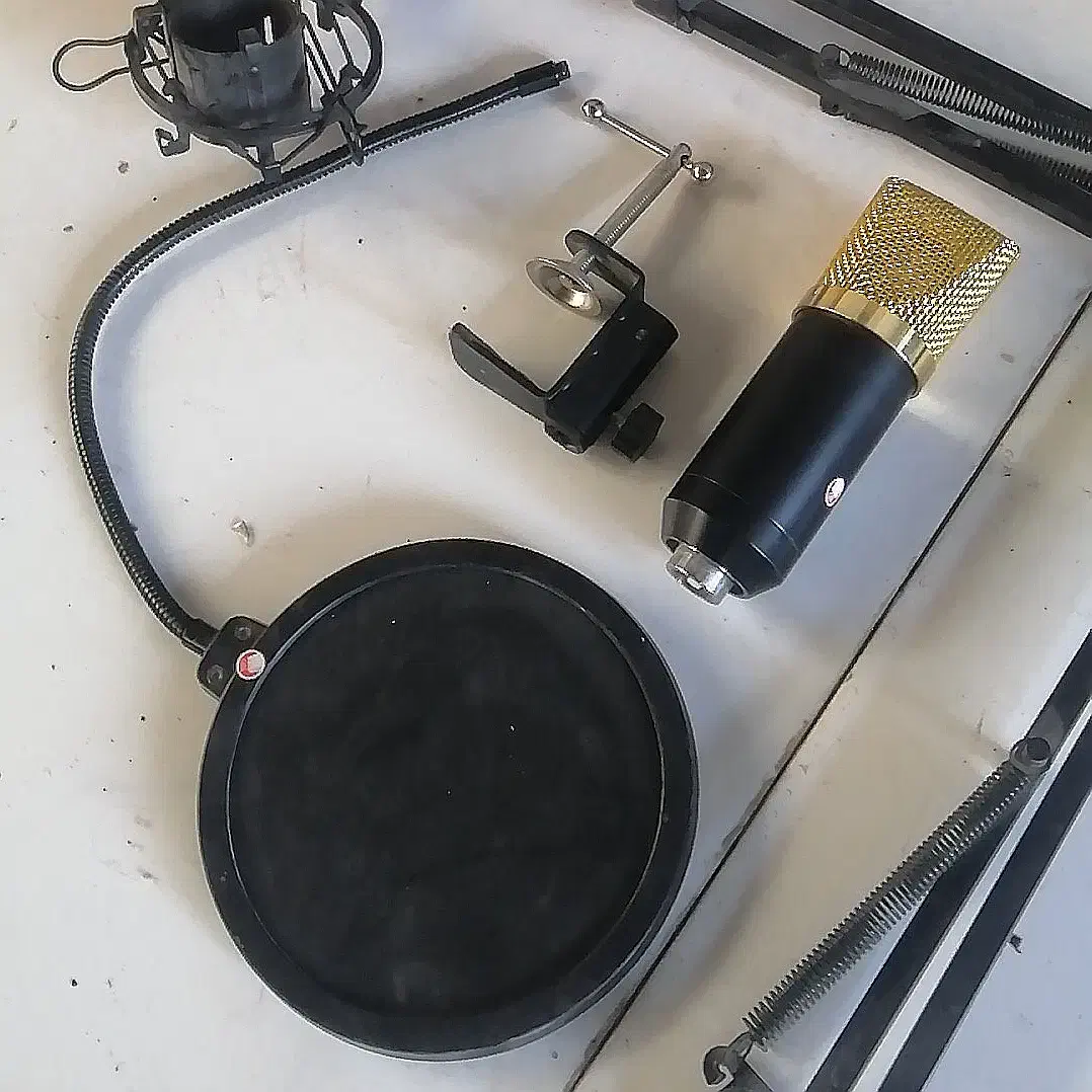 یک عدد میکروفون استودیویی|آلات موسیقی|بجنورد, |دیوار