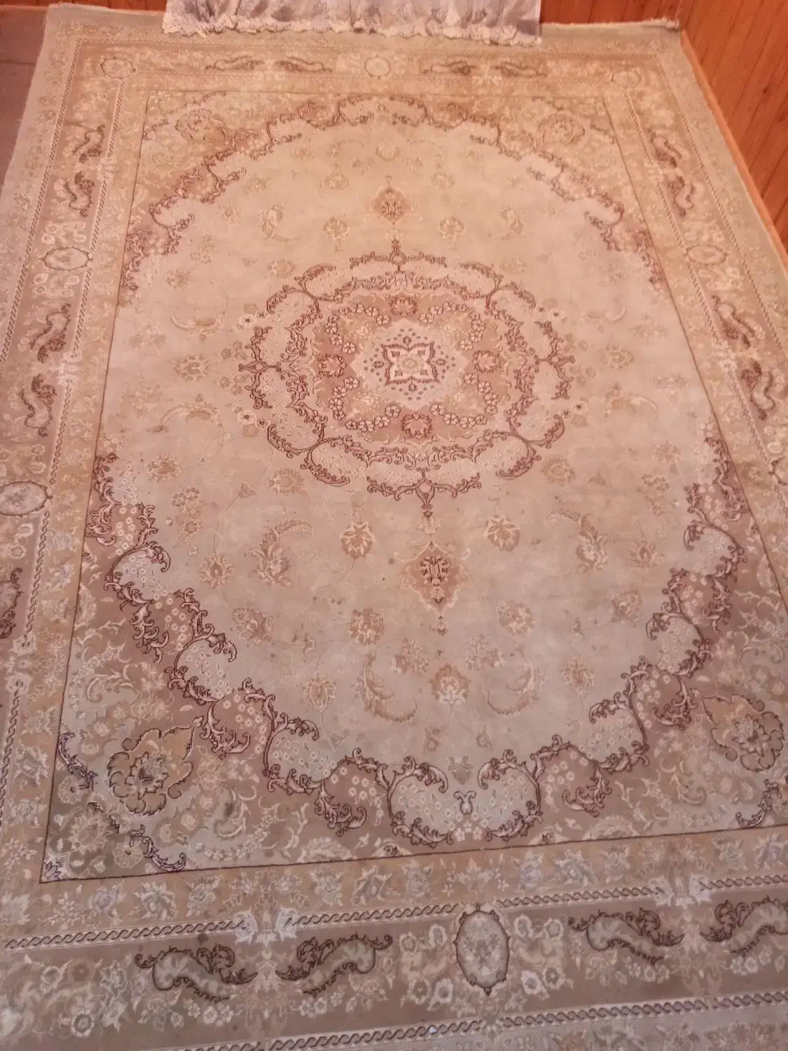 لوازم زیر قیمت|فرش|رشت, کوی مهر|دیوار