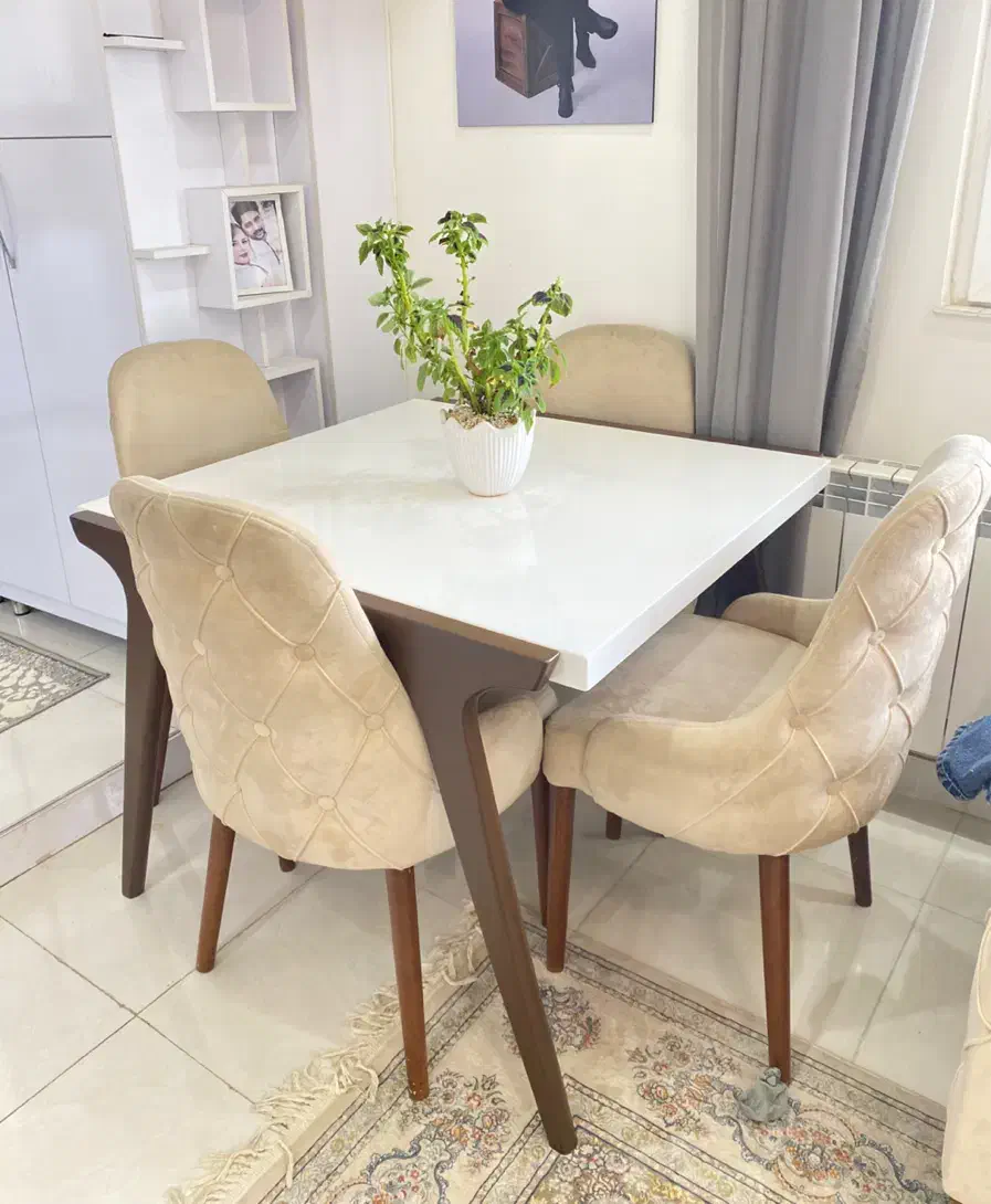 میز نهار خوری ۴ نفر چستر|میز و صندلی غذاخوری|سنندج, |دیوار