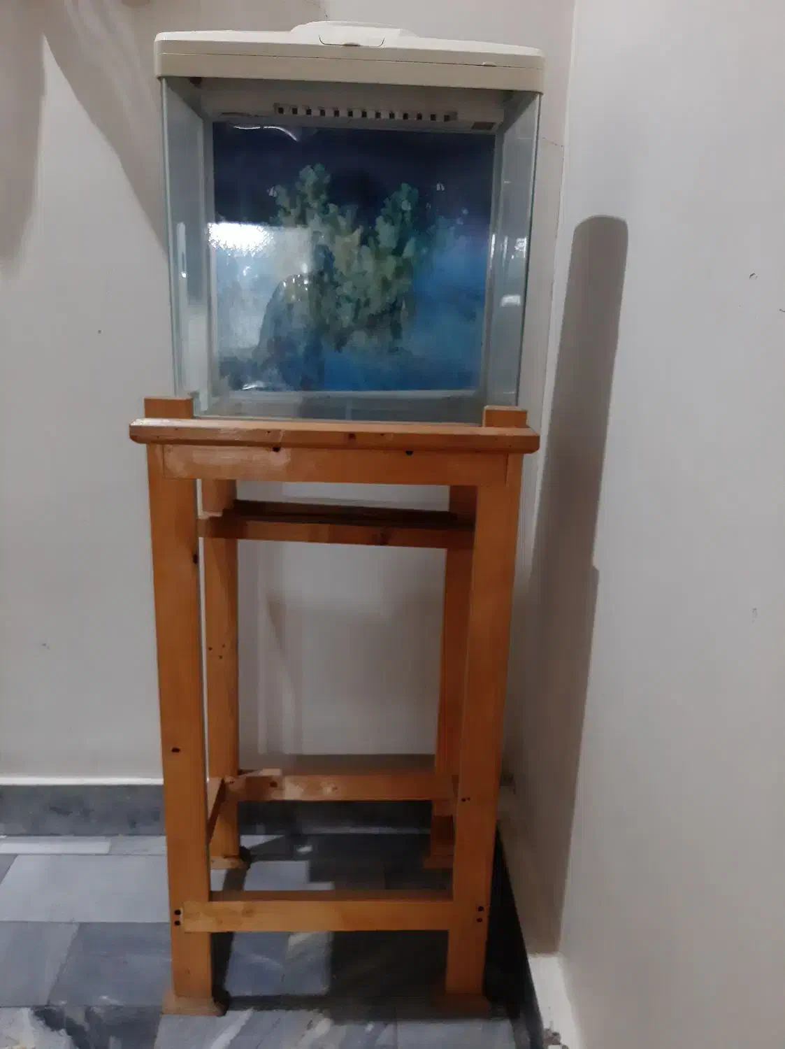 آکواریوم مدل AQ385|لوازم جانبی حیوانات|تهران, افسریه شمالی|دیوار