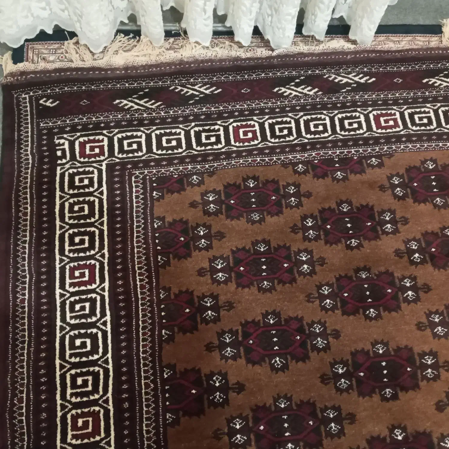 فرش ترکمنی|فرش|بندر ترکمن, |دیوار