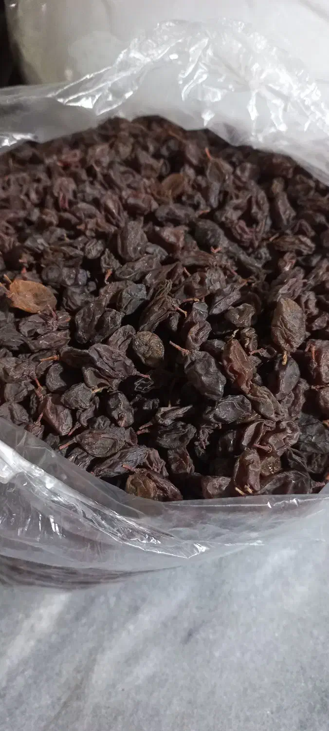 کشمش افتابی|خوردنی و آشامیدنی|رباطکریم, نصیرشهر|دیوار