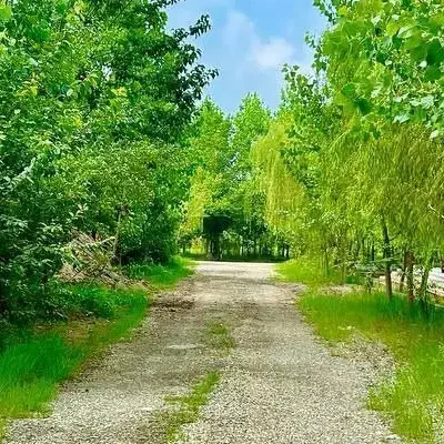 ویلا در آغوش طبیعت با دسترسی مستقیم به آب|فروش خانه و ویلا|میاندوآب, |دیوار