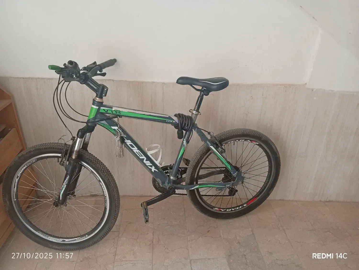 دوچرخه|دوچرخه، اسکیت، اسکوتر|گلبهار, شهر جدید گلبهار|دیوار