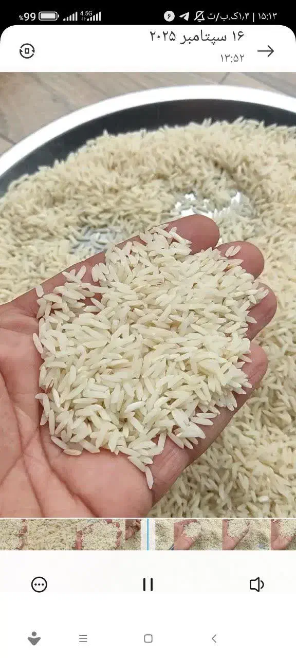 برنج هاشمی لاشه هاشمی درجه یک بشرط عطروپخت|خوردنی و آشامیدنی|هشتگرد, هشتگرد قدیم|دیوار