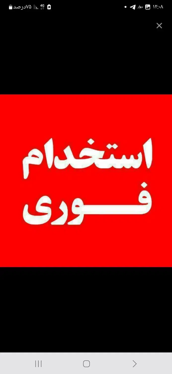 راننده خانم همراه با ماشین|استخدام حمل و نقل|اردبیل, |دیوار