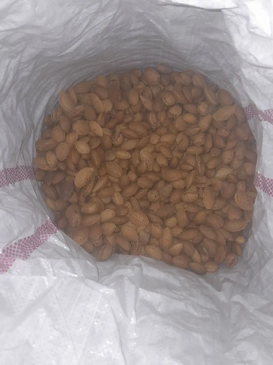 بادام سنگی|عمده‌فروشی|محمدیه-قزوین, |دیوار