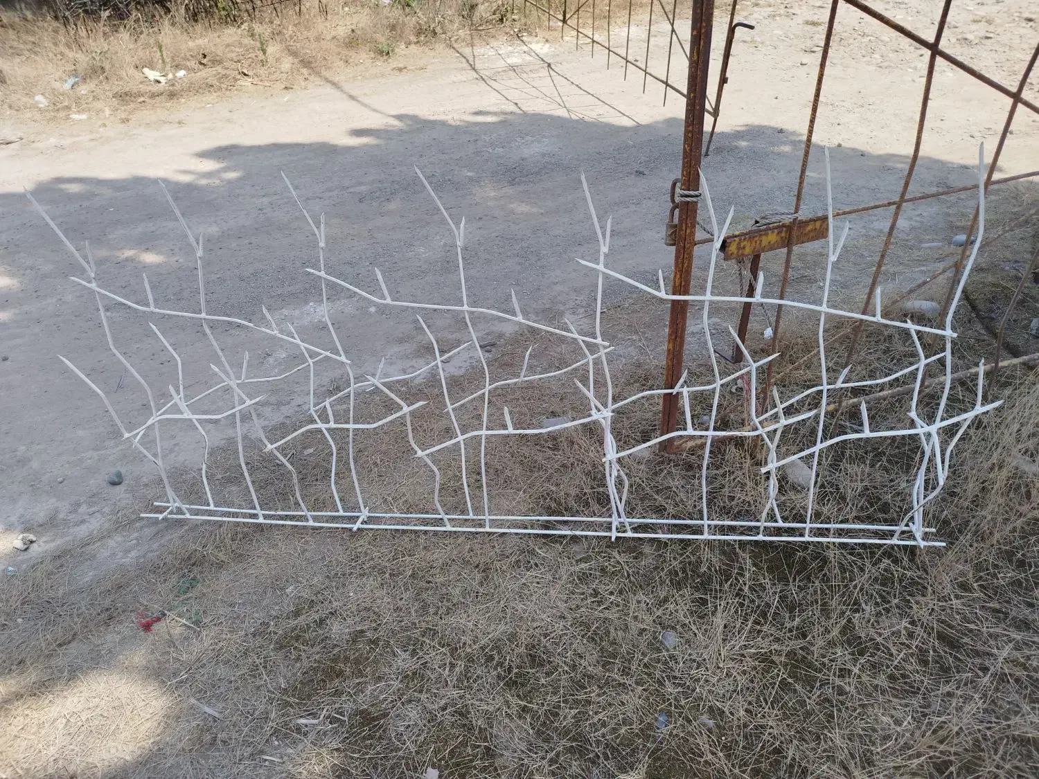 حفاظ شاخ گوزنی|مصالح و تجهیزات ساختمان|کیاشهر, |دیوار