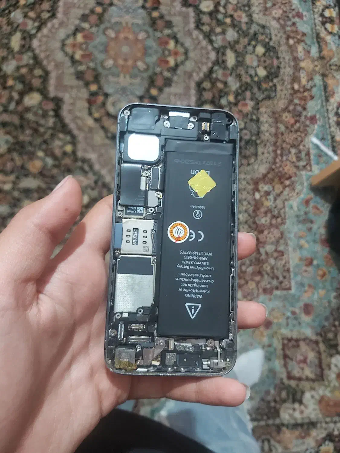 ایفون ۵|موبایل|اسلامشهر, شهرک انبیا|دیوار