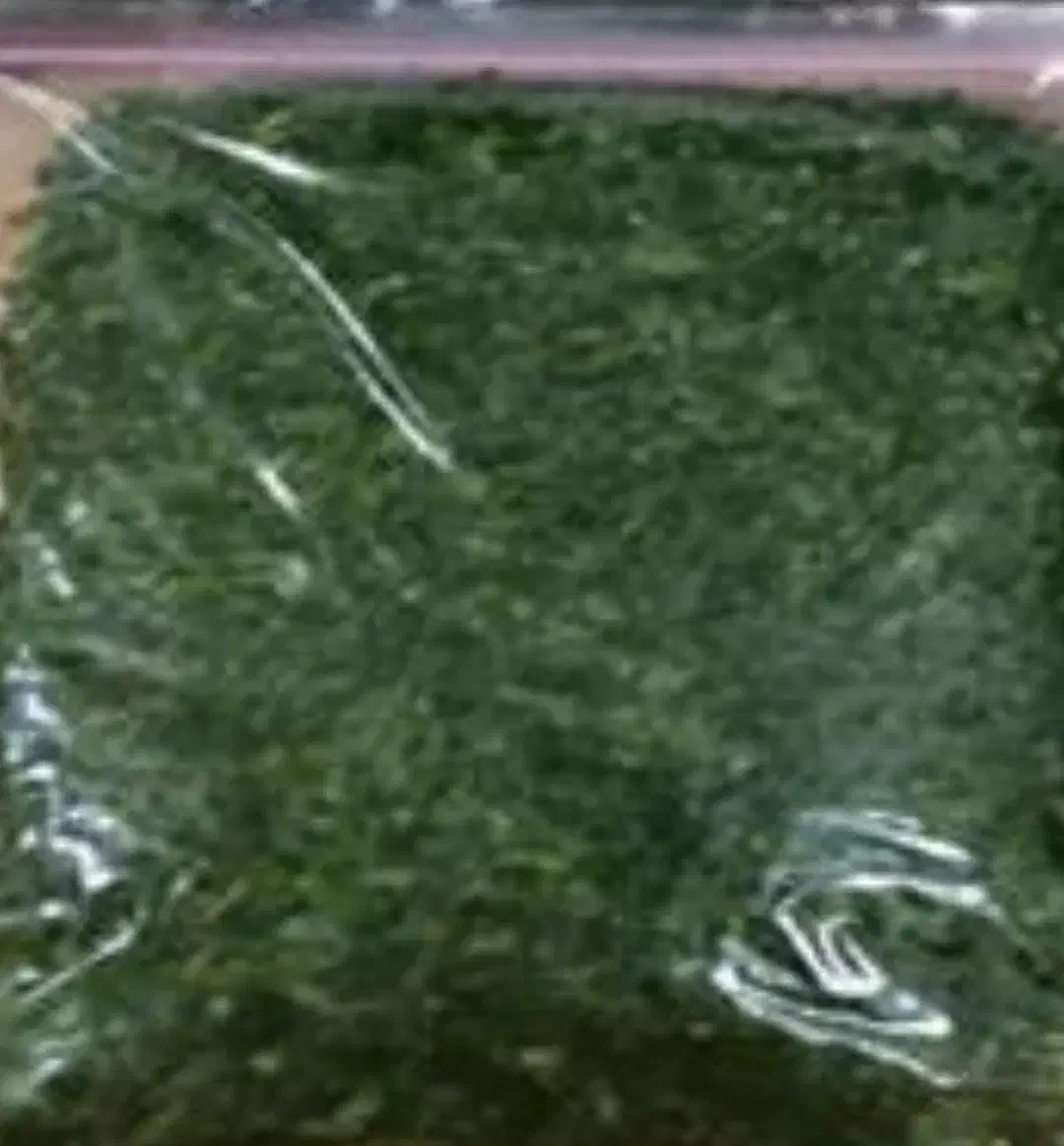 سبزی خشک و آبپز درجه یک خانگی محلی|خوردنی و آشامیدنی|اهواز, دغاغله|دیوار