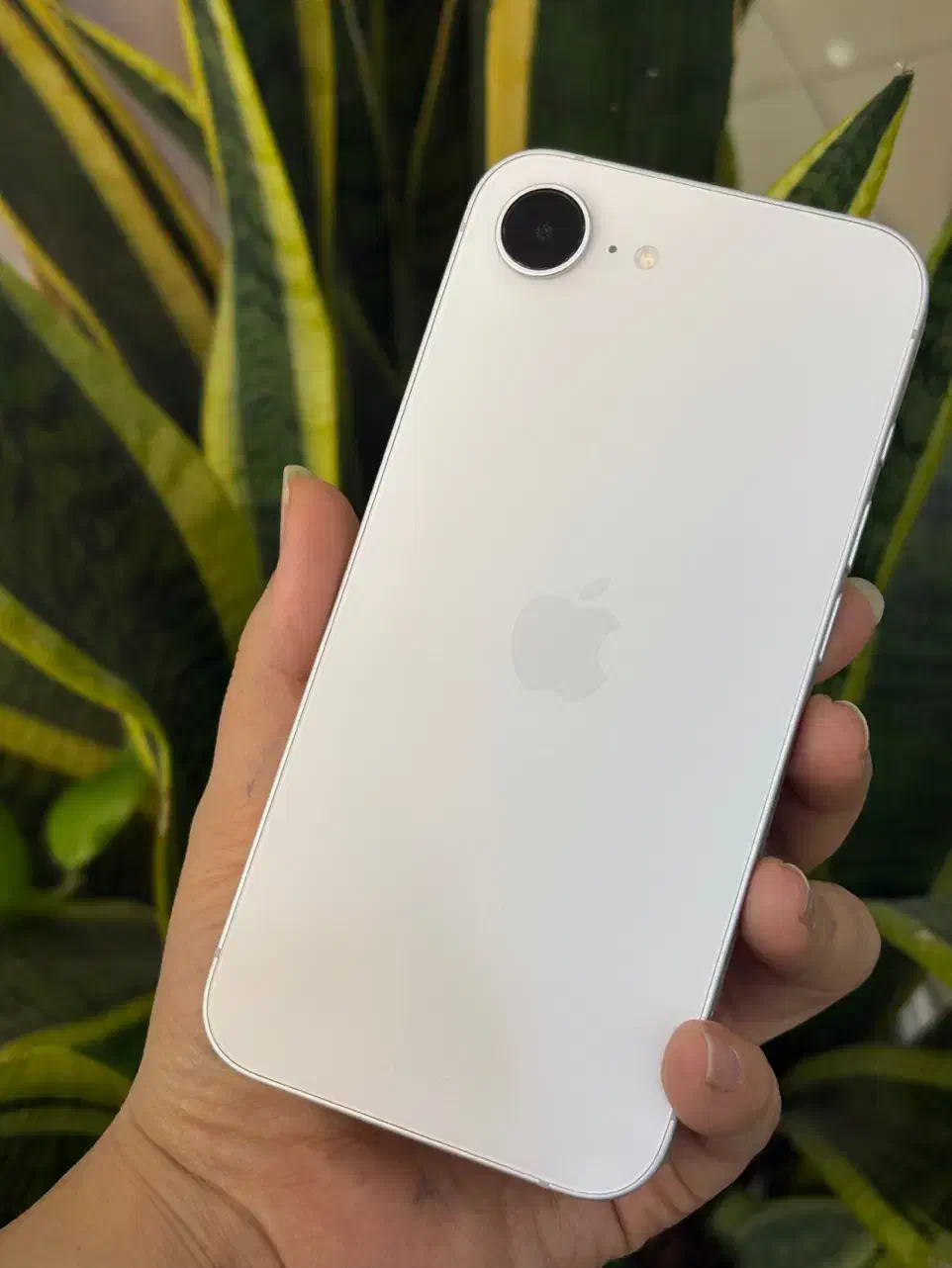 iPhone16e /128g/تک سیم با ریجستر|موبایل|اصفهان, احمدآباد|دیوار