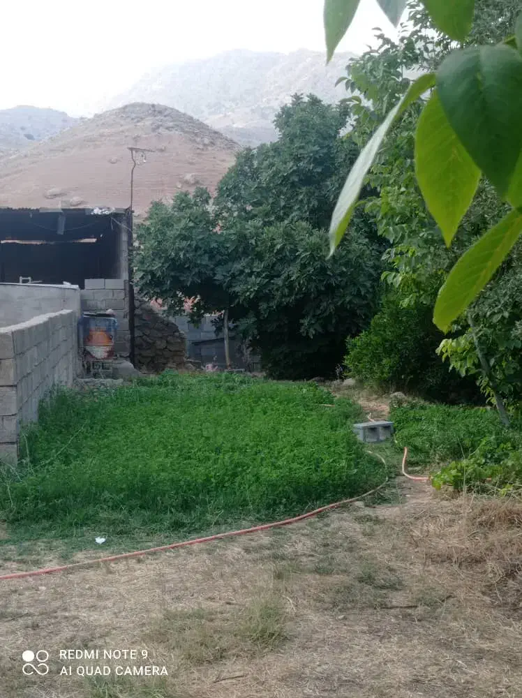 فروش آپارتمان ۵۵۰ متری ۲ خوابه طبقه ۱|فروش آپارتمان|باغ ملک, |دیوار