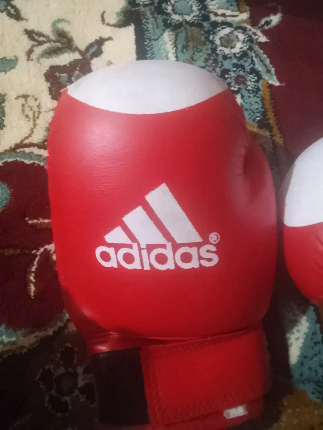 دستکش بوکس|تجهیزات ورزشی|یاسوج, |دیوار