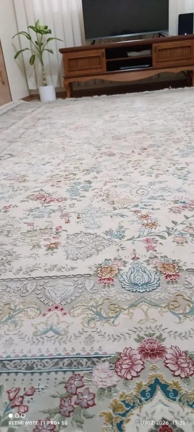 فرش زمرد|فرش|مشهد, عامل|دیوار