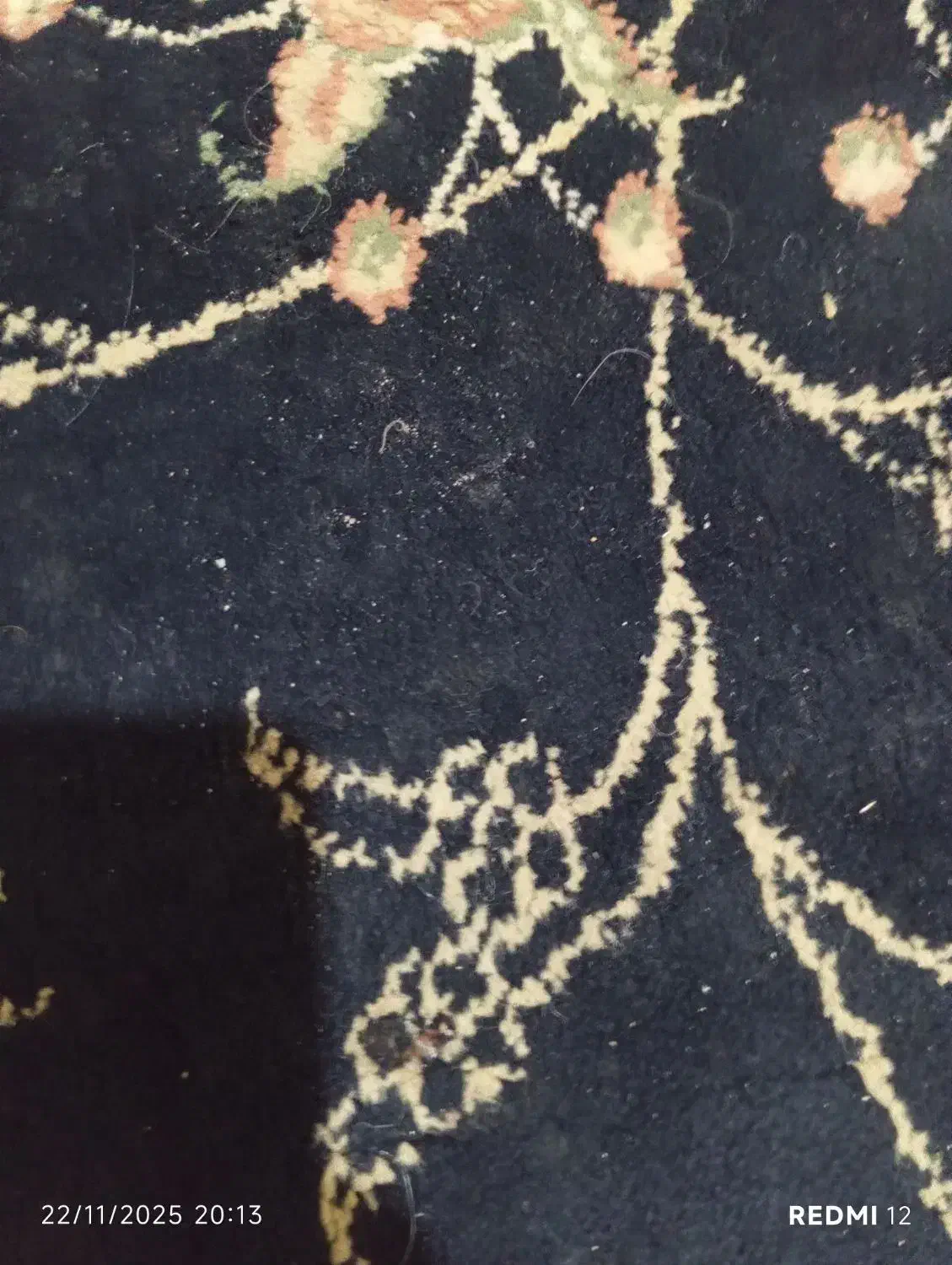 مدارک گم شده|اشیا|زاهدان, |دیوار