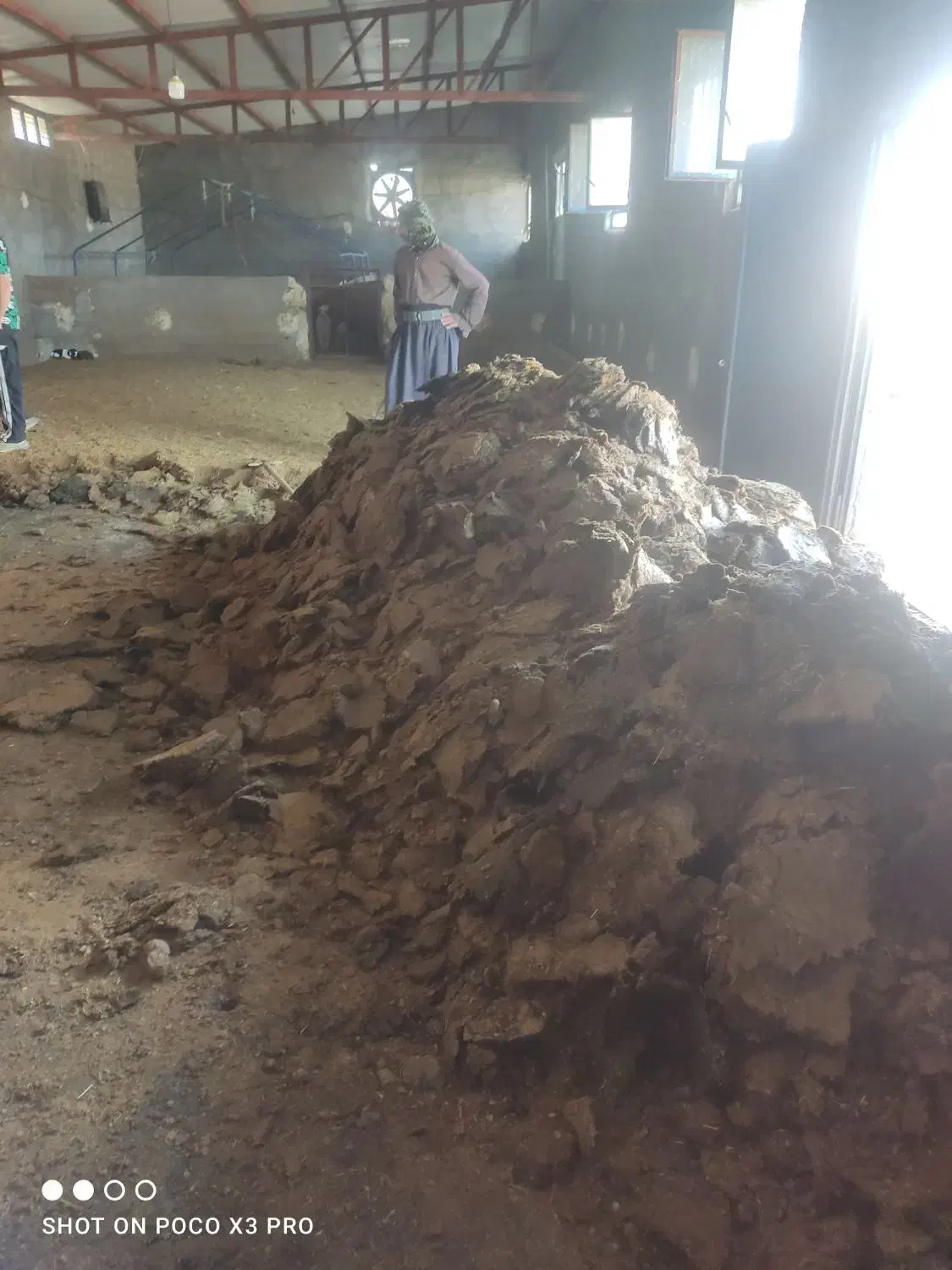 کود دامی فروشی|خدمات باغبانی و درختکاری|فیروزآباد (لرستان), |دیوار