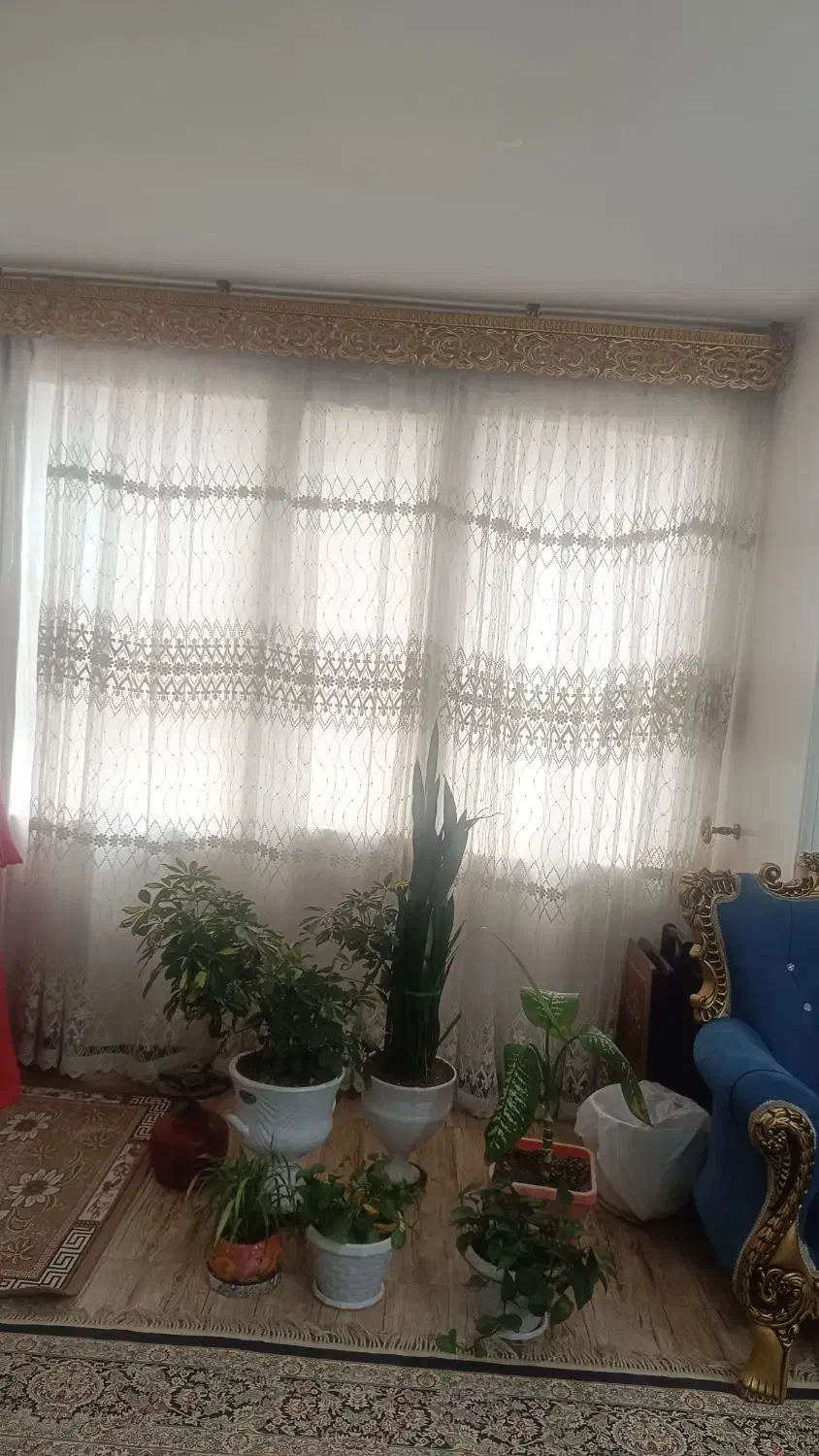 ۲عدد پرده توری بازیرپرده|پرده، رانر، رومیزی|شیراز, نصر|دیوار