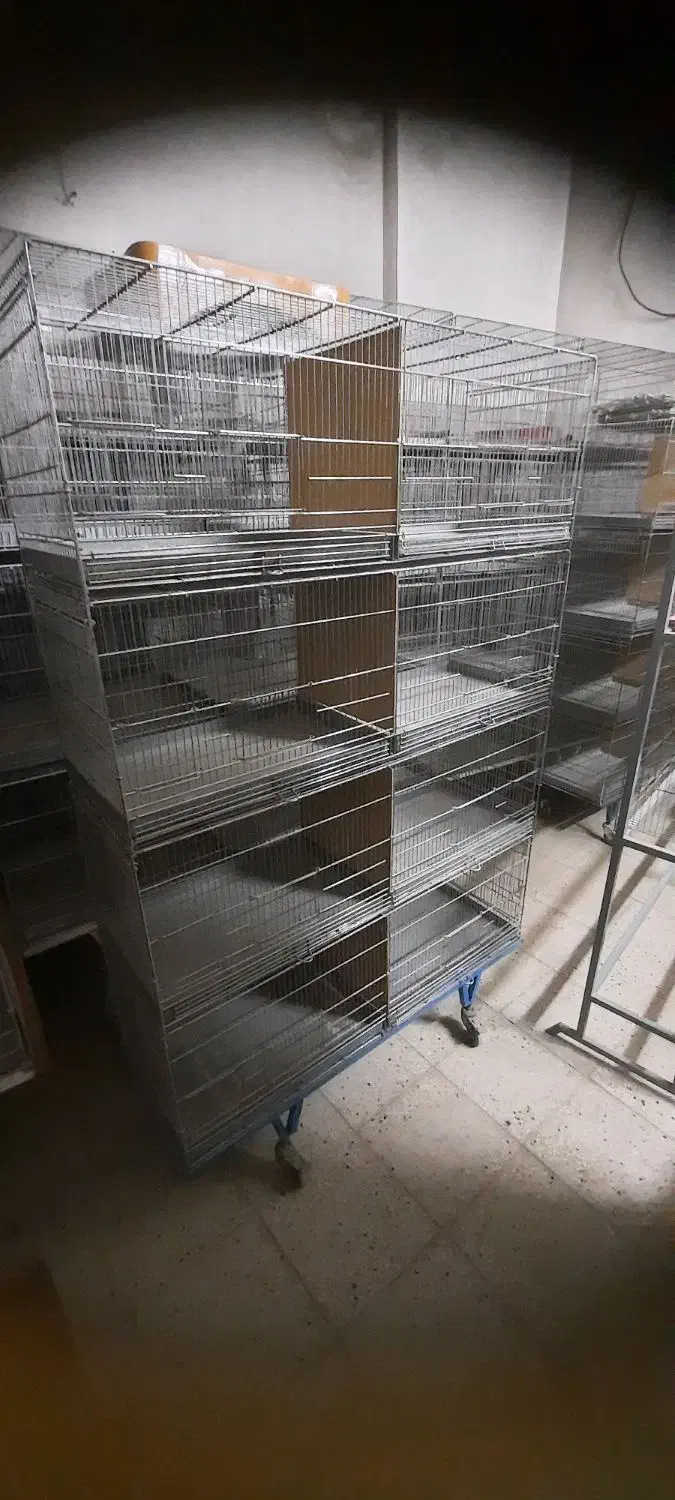 قفس حرفه ای قناری|لوازم جانبی حیوانات|آران و بیدگل, |دیوار