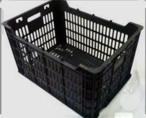 سبد  سالم|عمده‌فروشی|بیرجند, |دیوار