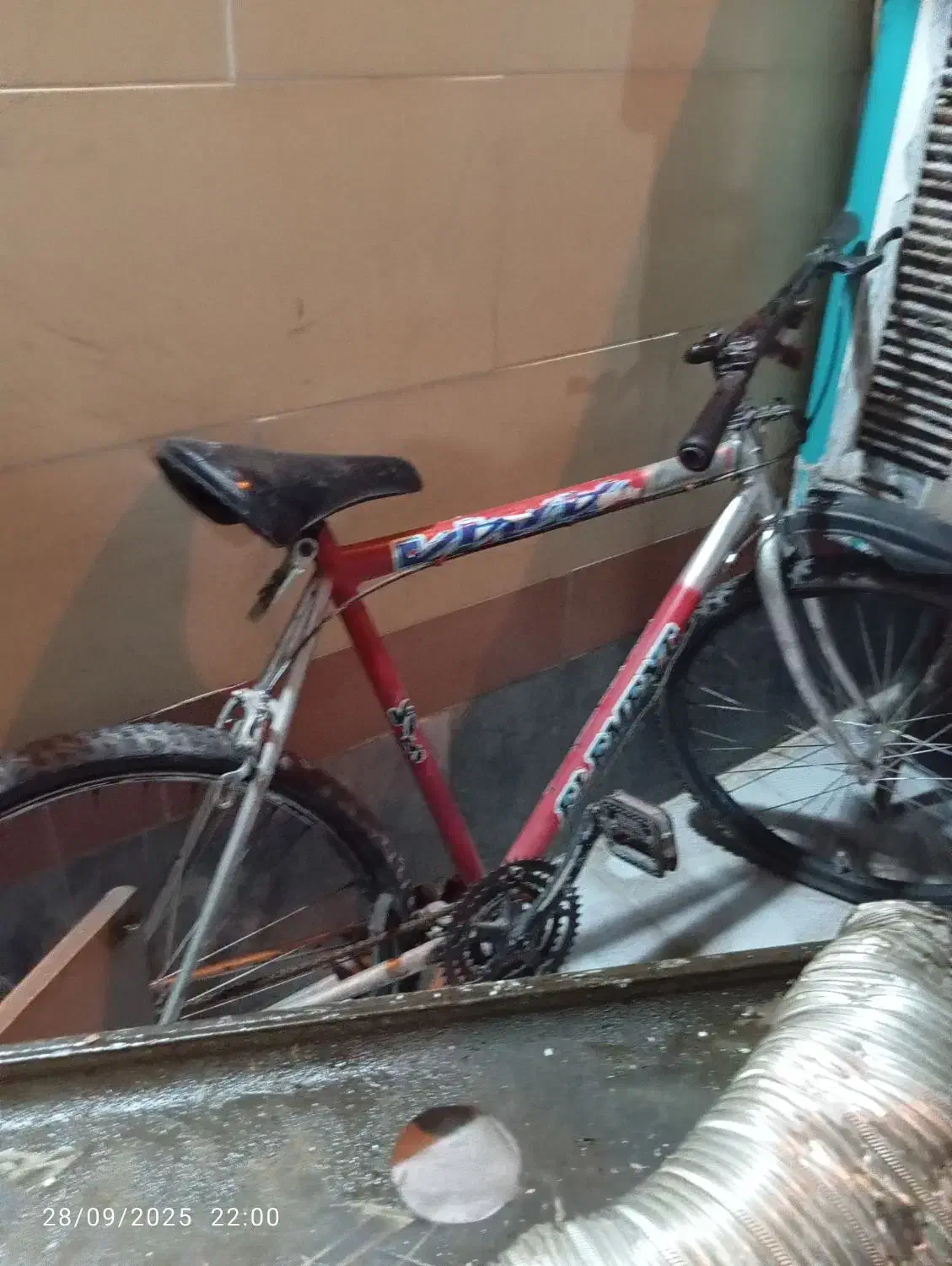 دوچرخه24حرفه ای|دوچرخه، اسکیت، اسکوتر|شیراز, کوشک میدان|دیوار