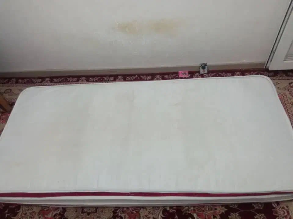 تشک تخت|تشک تختخواب|زاهدان, |دیوار