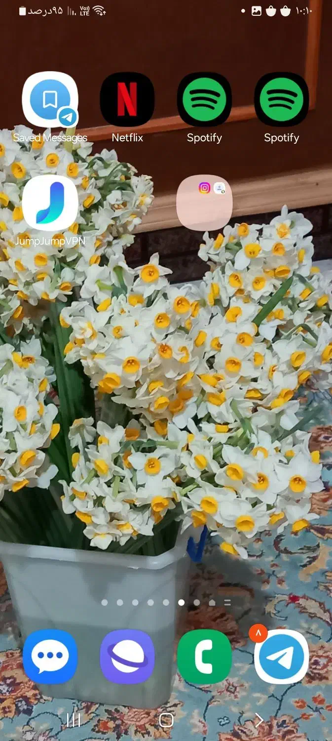 فروش پیاز گل نرگس وگلدان نرگس قبل از گل دادن|گل و گیاه طبیعی|معمولان, |دیوار