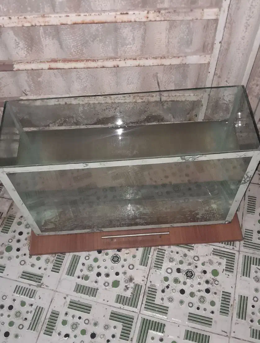 آکواریوم|ماهی|خرمشهر, |دیوار