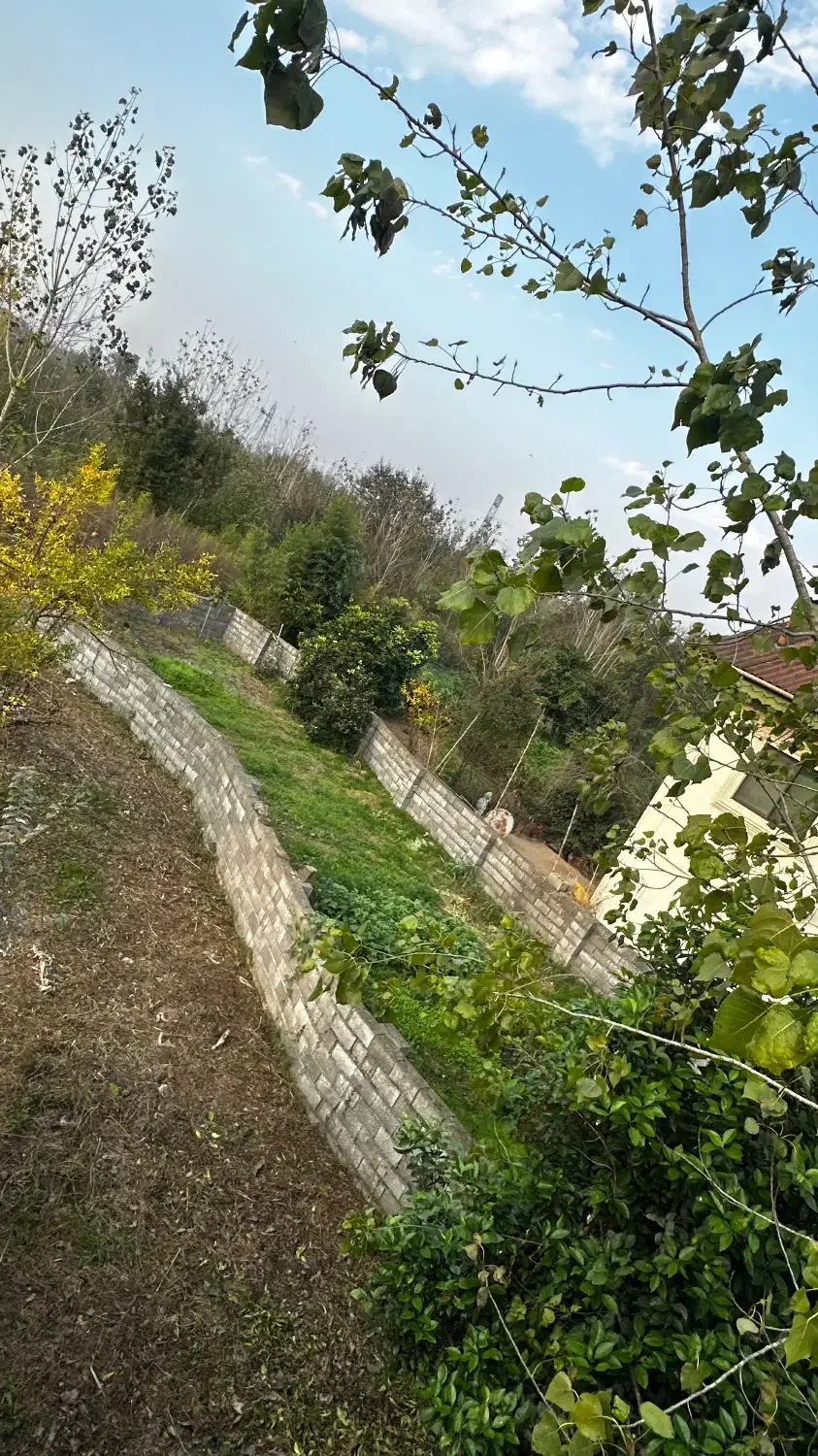 زمین مسکونی با جواز ساخت لاهیجان لیالستان|فروش زمین و ملک کلنگی|لنگرود, |دیوار