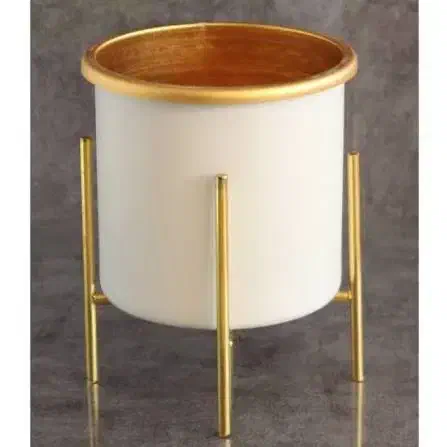 گلدون‌پایه‌‌دارطلایی‌|گل و گیاه طبیعی|خوی, |دیوار