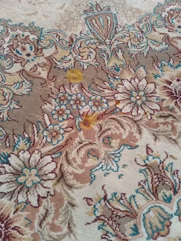 فرش ۱۲متری و ۶متری|فرش|بومهن, |دیوار