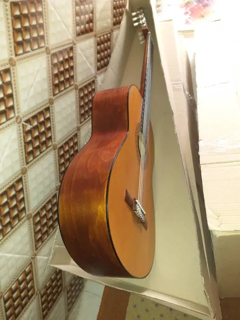 گیتار کلاسیک معاوضه با طوطی سان یا لوازم خانگی نو|گیتار، بیس، امپلیفایر|شیراز, لب آب|دیوار