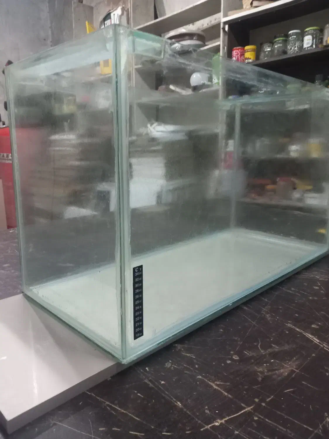 آکواریوم|ماهی|رشت, شهرک آیت الله منتظری|دیوار