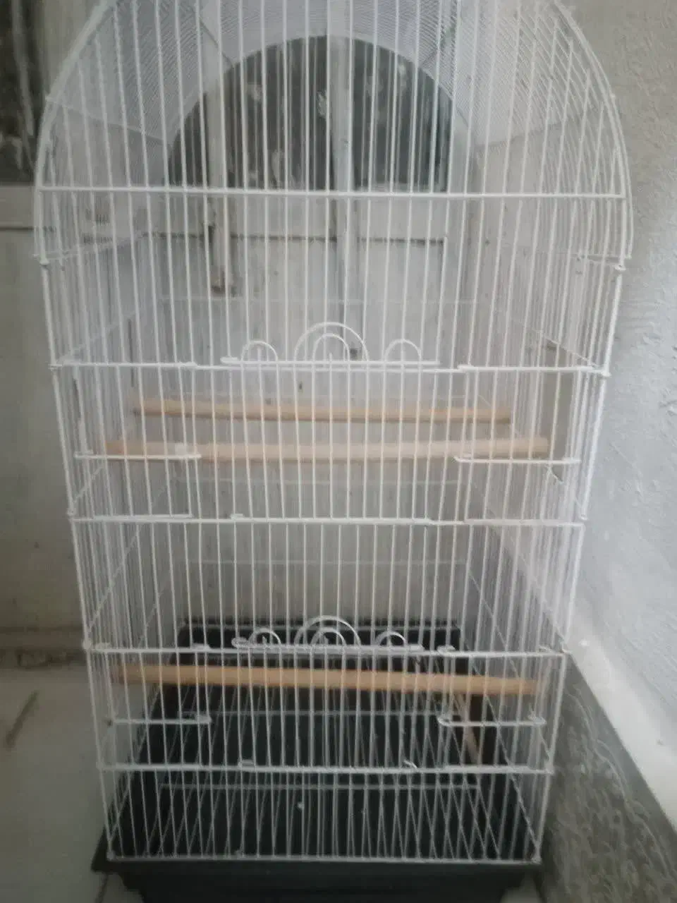 قفس بزرگ و کوچک|لوازم جانبی حیوانات|زرند, |دیوار
