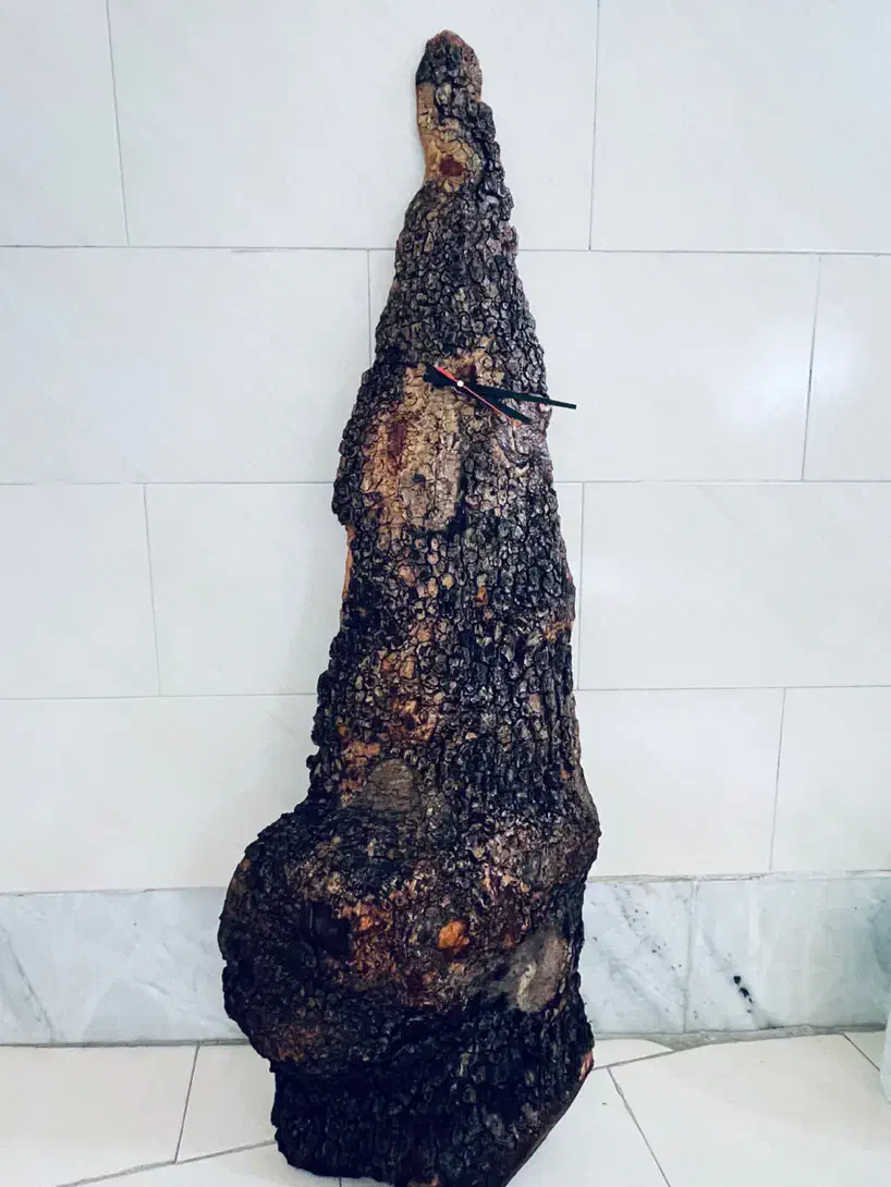 ساعت دیواری طرح تنه درخت کاج|ساعت دیواری و تزئینی|اصفهان, بوستان آینه خانه|دیوار