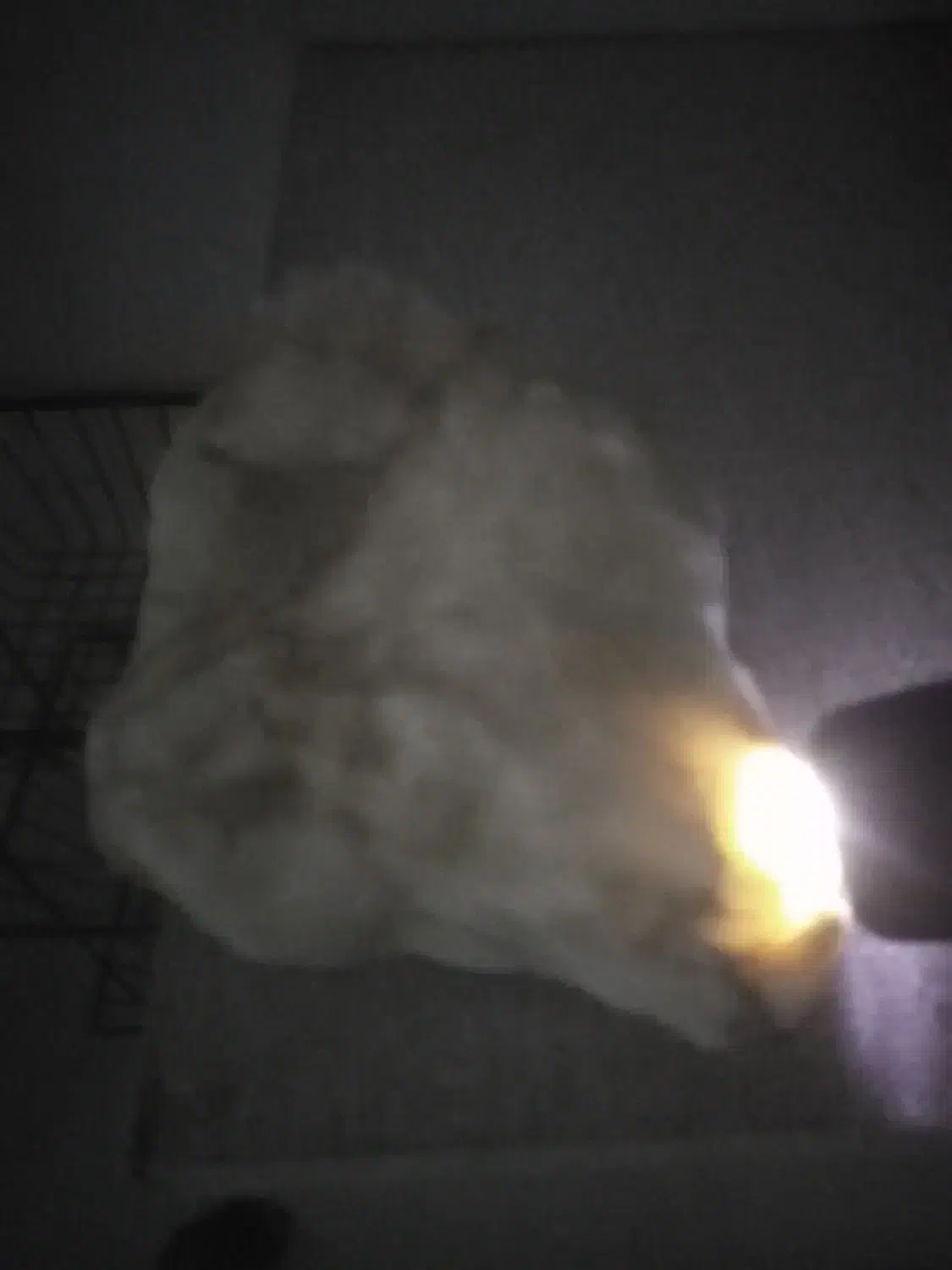 سنگ قیمتی نور هم ازش رد میشه|کلکسیون اشیاء عتیقه|بندرعباس, |دیوار