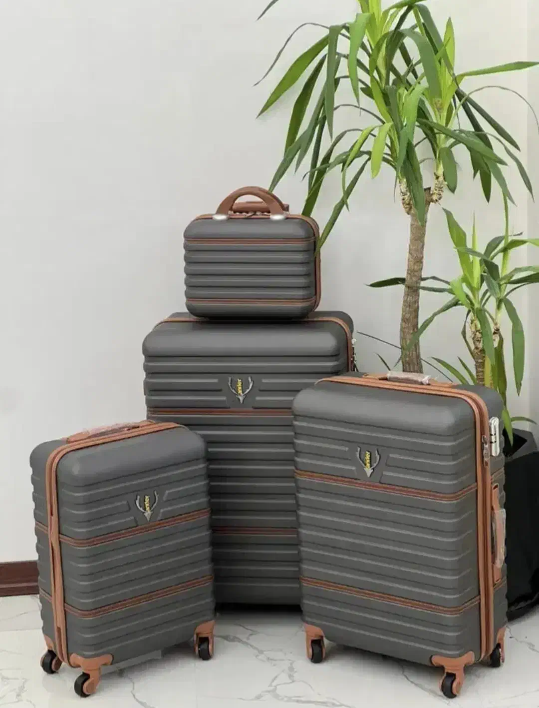 چمدان مسافرتی|کیف، کفش، کمربند|قرچک, شهرک گلها|دیوار