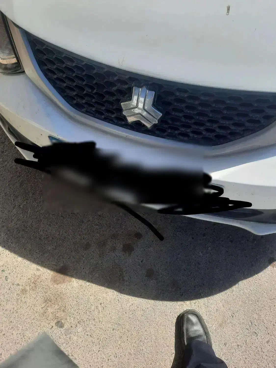 ساینا اس  دوگانه|خودرو سواری و وانت|دهق, |دیوار