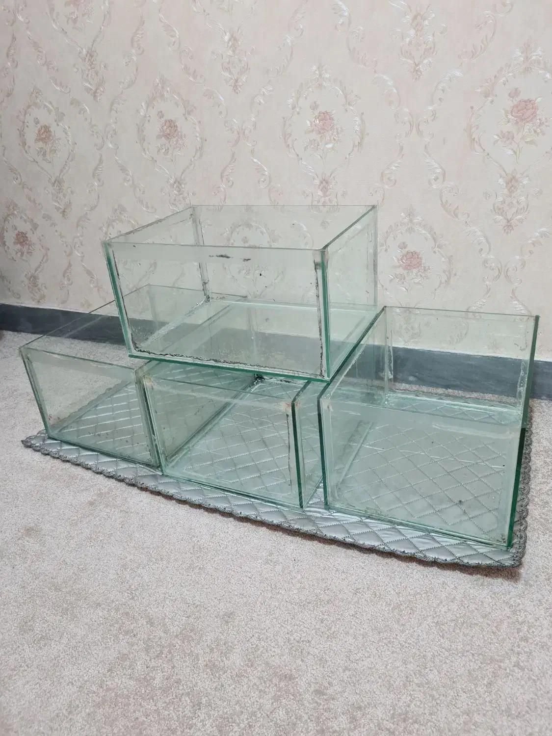 آکواریوم شیشهای|لوازم جانبی حیوانات|لاهیجان, کوی آزادگان|دیوار