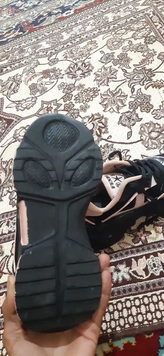 کفش|کیف، کفش، کمربند|قوچان, |دیوار