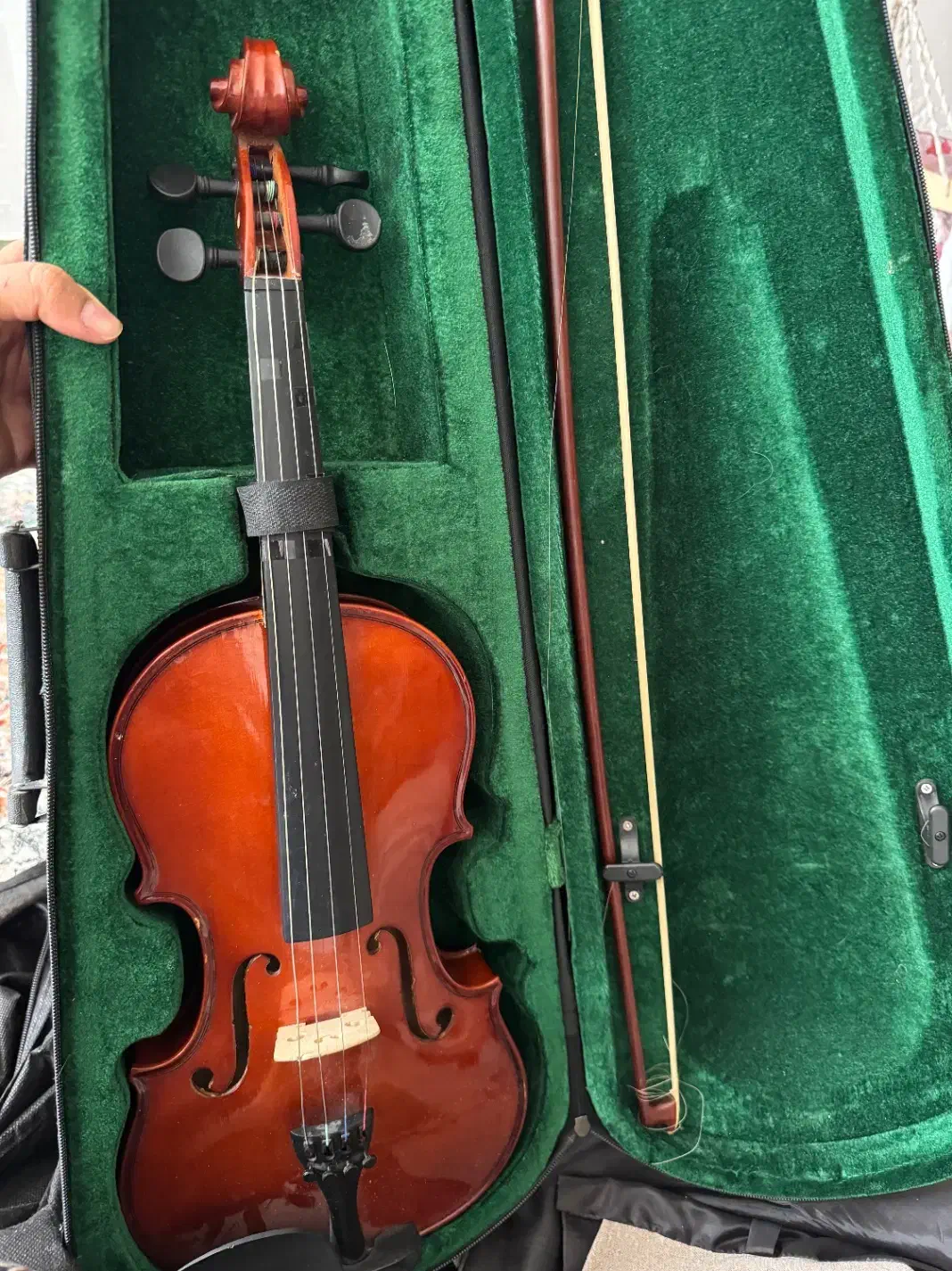 ویولن کم کار|ویولن|کرمان, |دیوار