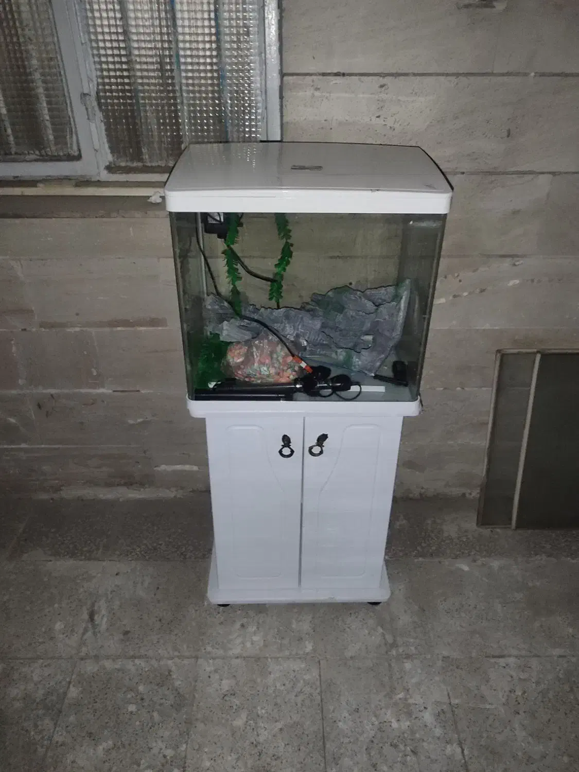 آکواریوم شرکتی با پایه|ماهی|مشهد, انقلاب|دیوار