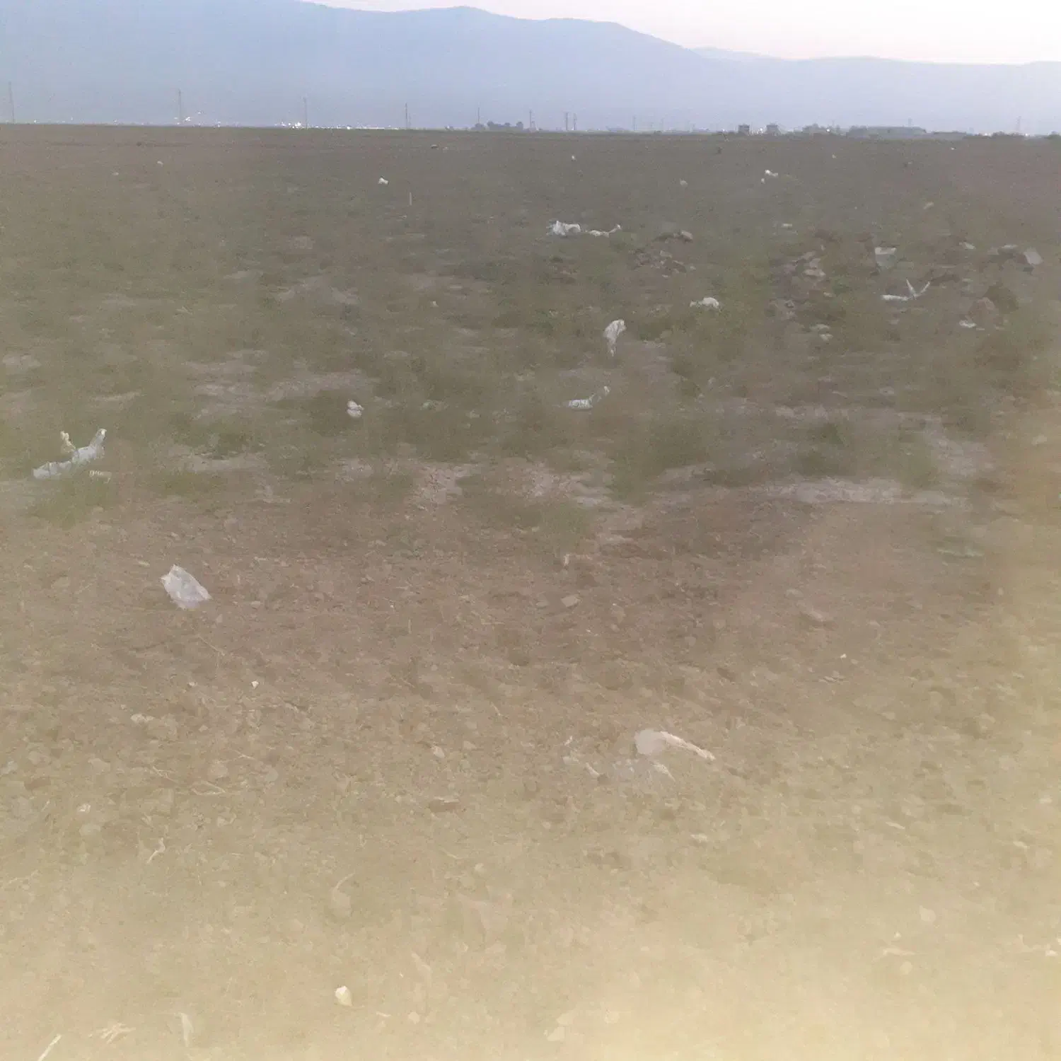 زمین کشاورزی ۳۲ هکتار|اجارهٔ دفتر صنعتی، کشاورزی، تجاری|سیمین شهر, |دیوار