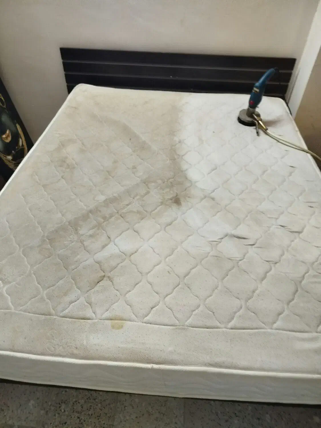 مبل شویی الماس|خدمات نظافت|گلبهار, شهر جدید گلبهار|دیوار